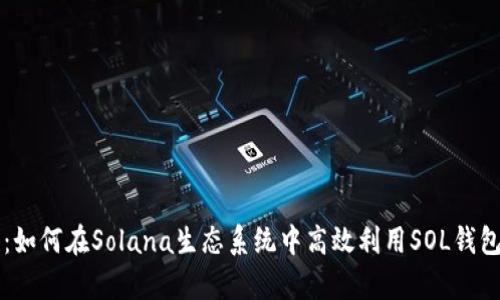 全面解析：如何在Solana生态系统中高效利用SOL钱包进行交易