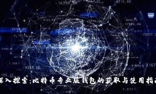 深入探索：比特币专业版钱包的获取与使用指南
