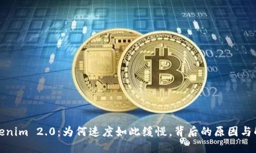 探秘Tokenim 2.0：为何速度如此缓慢，背后的原因与解决方案