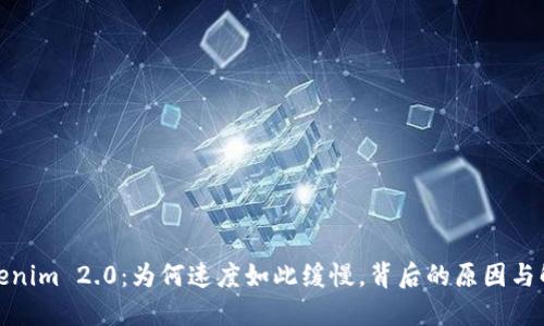 探秘Tokenim 2.0：为何速度如此缓慢，背后的原因与解决方案