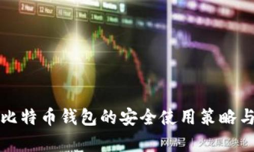 全面解析比特币钱包的安全使用策略与最佳实践