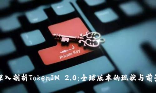 深入剖析TokenIM 2.0：全球版本的现状与前景