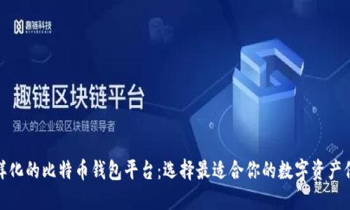 探索多样化的比特币钱包平台：选择最适合你的数字资产保护方案