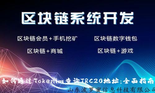 如何通过Tokenim查询TRC20地址：全面指南
