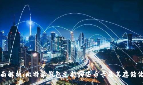 :
全面解析：比特派钱包支持哪些币卡及其存储优势