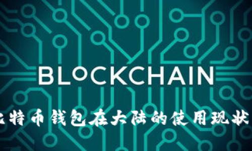 深入探讨比特币钱包在大陆的使用现状与未来展望