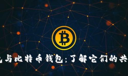 USDT钱包与比特币钱包：了解它们的共用与差异