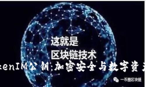 深入理解TokenIM公钥：加密安全与数字资产保护的基石