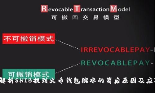  深入解析SHIB提到火币钱包缩水的背后原因及应对策略