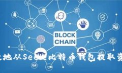 如何安全高效地从Seele比特币钱包提取资金？完整