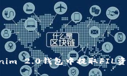如何在Tokenim 2.0钱包中提取FIL资产：完整指南