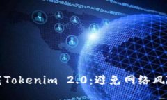 如何安全下载Tokenim 2.0：避免网络风险的全面指南