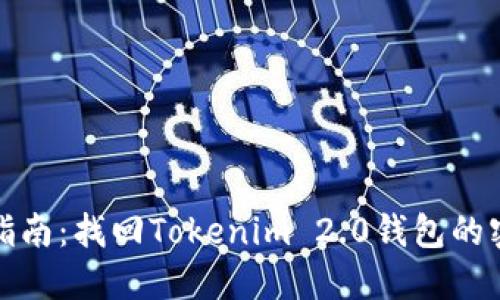 : 详细指南：找回Tokenim 2.0钱包的密码方法