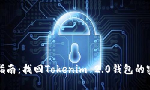 : 详细指南：找回Tokenim 2.0钱包的密码方法