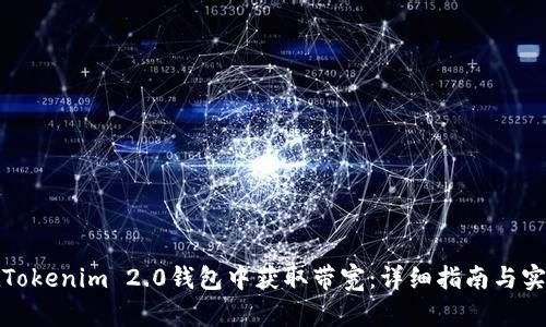 如何在Tokenim 2.0钱包中获取带宽：详细指南与实用技巧