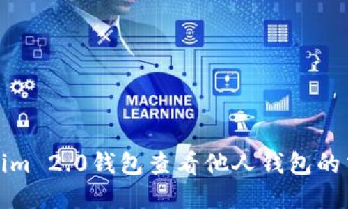 如何通过Tokenim 2.0钱包查看他人钱包的交易记录和余额