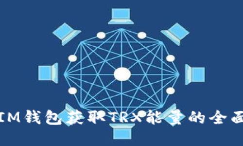 通过IM钱包获取TRX能量的全面指南