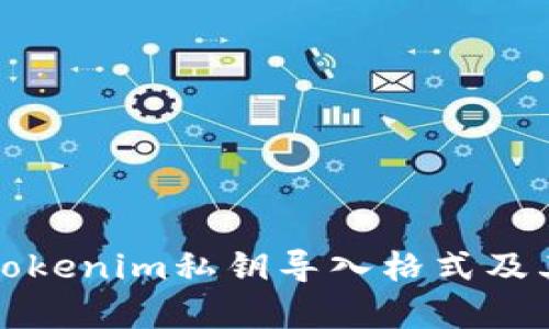 全面解析Tokenim私钥导入格式及其使用指南