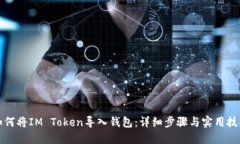 如何将IM Token导入钱包：详细步骤与实用技巧