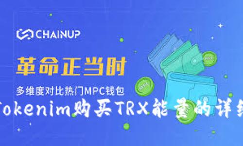 如何通过Tokenim购买TRX能量的详细步骤指南