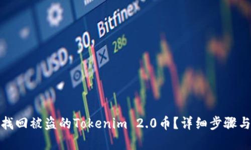如何有效找回被盗的Tokenim 2.0币？详细步骤与预防措施