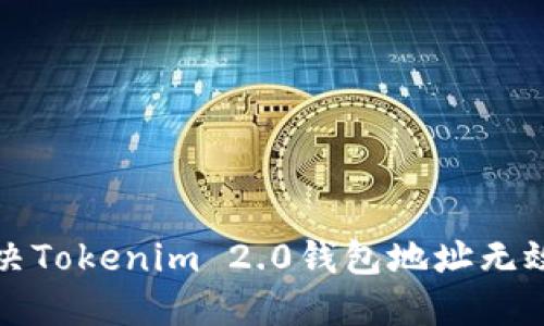 如何解决Tokenim 2.0钱包地址无效的问题