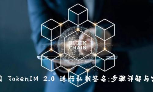 如何使用 TokenIM 2.0 进行私钥签名：步骤详解与实践案例