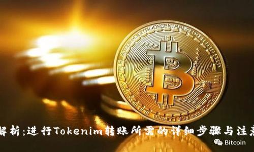 深入解析：进行Tokenim转账所需的详细步骤与注意事项