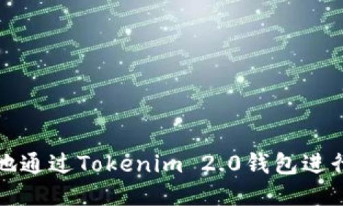 如何便捷地通过Tokenim 2.0钱包进行转账操作