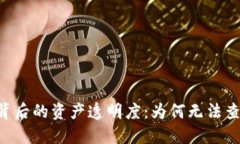 探索Tokenim平台背后的资产透明度：为何无法查看