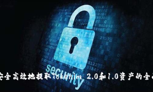 如何安全高效地提取Tokenim 2.0和1.0资产的全面指南