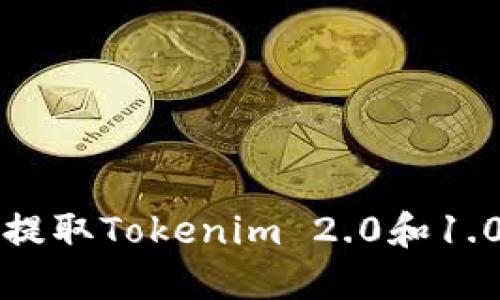 如何安全高效地提取Tokenim 2.0和1.0资产的全面指南