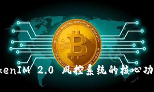 深入解析 TokenIM 2.0 风控系统的核心功能与应用场景