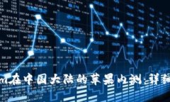 如何参与Tokenim在中国大陆的苹果内测：详细指南