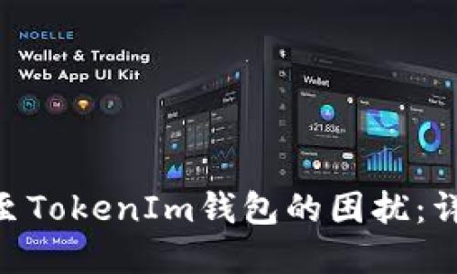 如何解决BCH误转至TokenIm钱包的困扰：详细步骤与实用建议