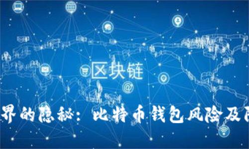  加密世界的隐秘: 比特币钱包风险及防范策略