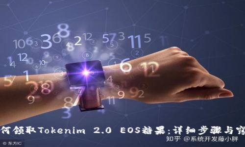 如何领取Tokenim 2.0 EOS糖果：详细步骤与窍门