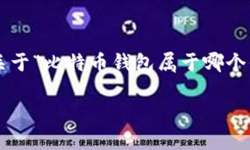 在比特币和其他加密货币的世界中，钱包的选择至关重要，因为它们直接关乎资产的安全性和使用便利性。关于“比特币钱包属于哪个平台”这个问题，实际上涵盖了多个方面，包括比特币钱包的类型、不同平台的特点以及如何选择合适的钱包。

全面解析比特币钱包的种类与平台特征