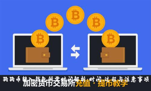 狗狗币转入钱包所需时间解析：时间、过程与注意事项