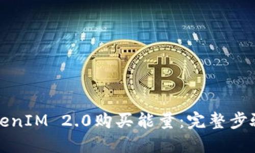 如何通过TokenIM 2.0购买能量：完整步骤与实用指南