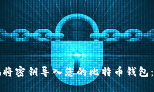 如何安全地将密钥导入您的比特币钱包：一步步指南