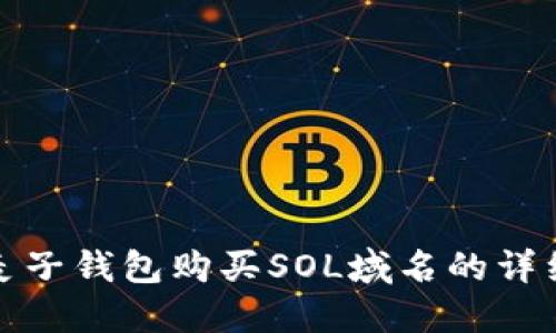 使用麦子钱包购买SOL域名的详细指南