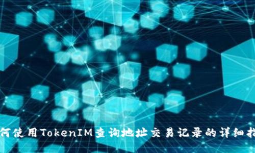 如何使用TokenIM查询地址交易记录的详细指南