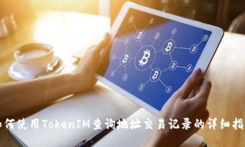 如何使用TokenIM查询地址交易记录的详细指南