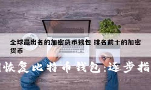 如何使用私钥恢复比特币钱包：逐步指南与注意事项