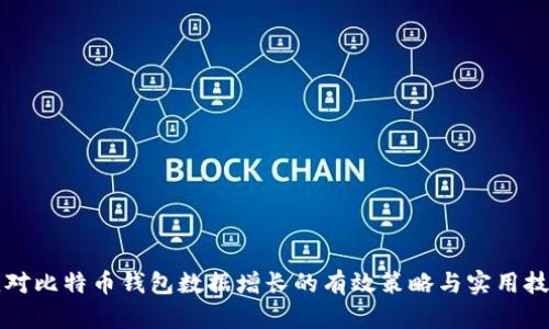 应对比特币钱包数据增长的有效策略与实用技巧