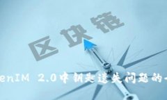 如何应对TokenIM 2.0中钥匙遗失问题的全面解决方案