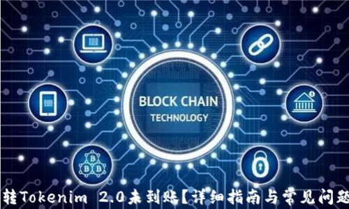 
货币转Tokenim 2.0未到账？详细指南与常见问题解析