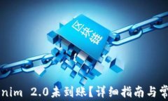 货币转Tokenim 2.0未到账？详细指南与常见问题解析