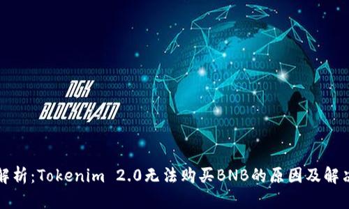 全面解析：Tokenim 2.0无法购买BNB的原因及解决方案